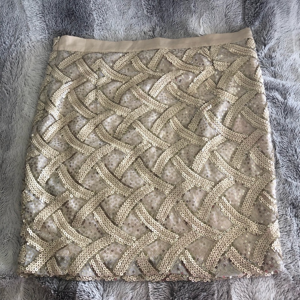 Beige and Gold Sequin Skirt - Picture 2 of 6